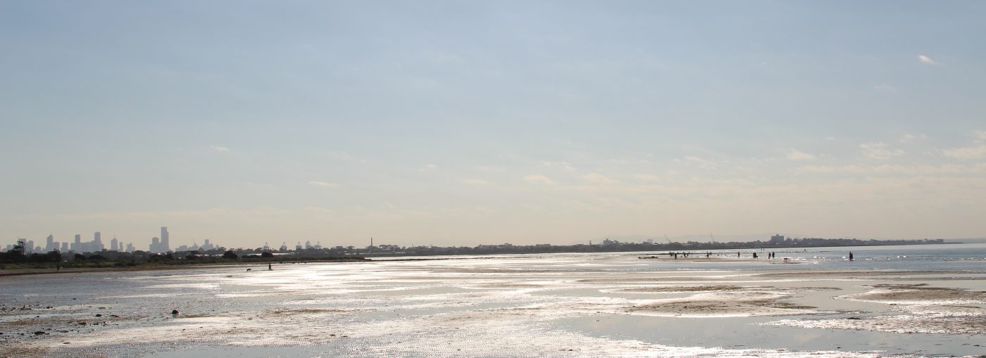 The beautiful Altona Dog Beach is one of our favourite spots to orovide our dog walking service